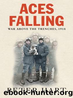Aces Falling: War Above the Trenches, 1918 by Peter Hart