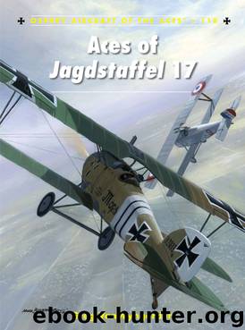 Aces of Jagdstaffel 17 by Greg Vanwyngarden
