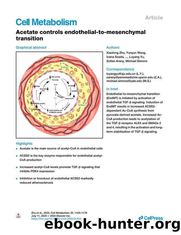 Acetate controls endothelial-to-mesenchymal transition by unknow