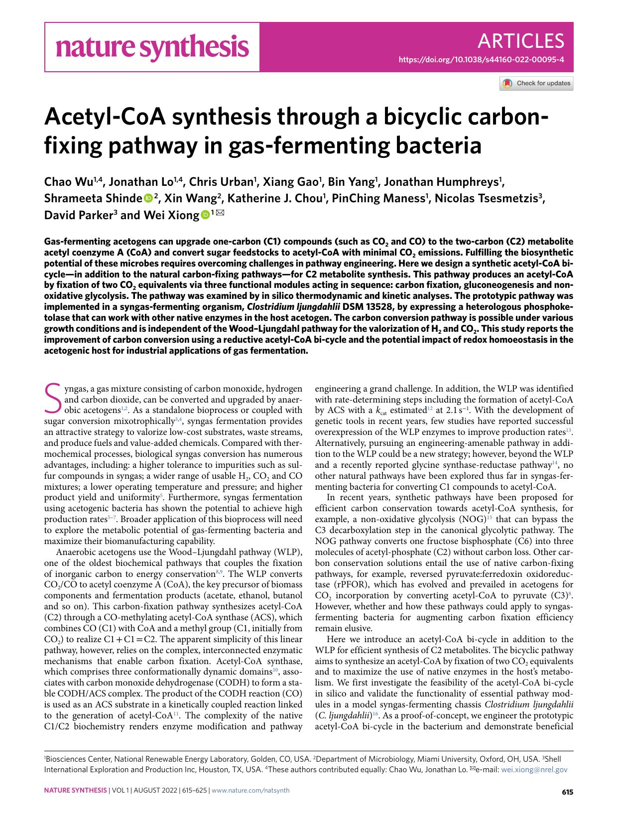 Acetyl-CoA synthesis through a bicyclic carbon-fixing pathway in gas-fermenting bacteria by unknow