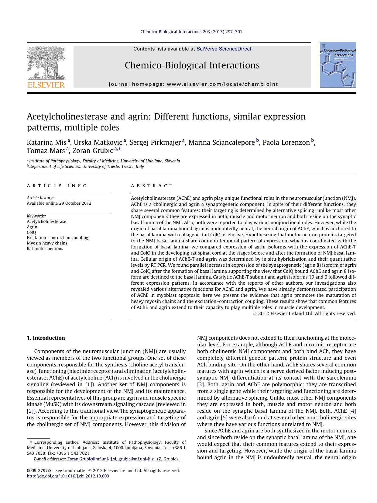 Acetylcholinesterase and agrin: Different functions, similar expression patterns, multiple roles by unknow