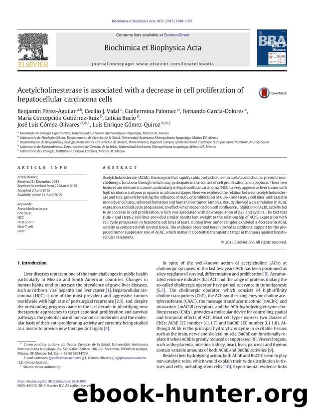 Acetylcholinesterase is associated with a decrease in cell proliferation of hepatocellular carcinoma cells by unknow