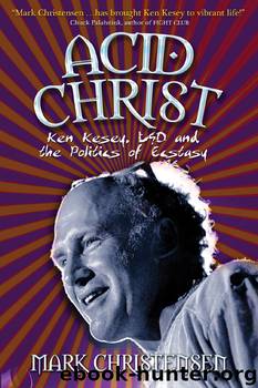 Acid Christ by Mark Christensen