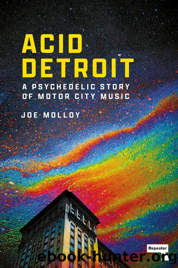 Acid Detroit by Joe Molloy