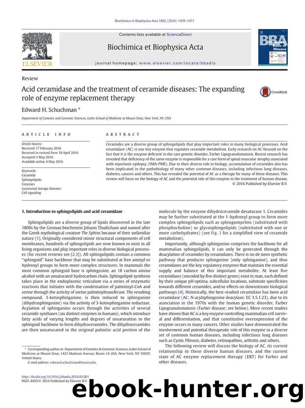 Acid ceramidase and the treatment of ceramide diseases: The expanding role of enzyme replacement therapy by Edward H. Schuchman