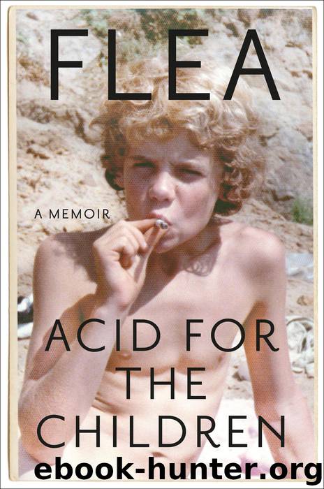 Acid for the Children by Flea