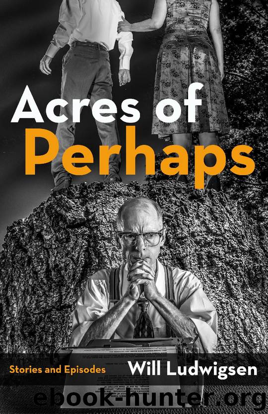 Acres of Perhaps by Will Ludwigsen