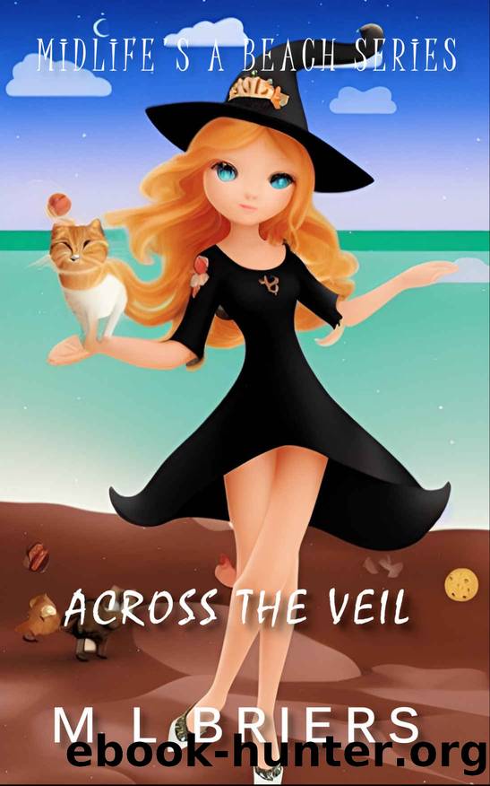 Across the Veil - Midlife's a Beach Series by Briers M L