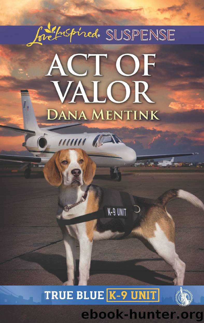 Act of Valor by Dana Mentink