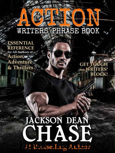 Action Writers' Phrase Book by Jackson Dean Chase