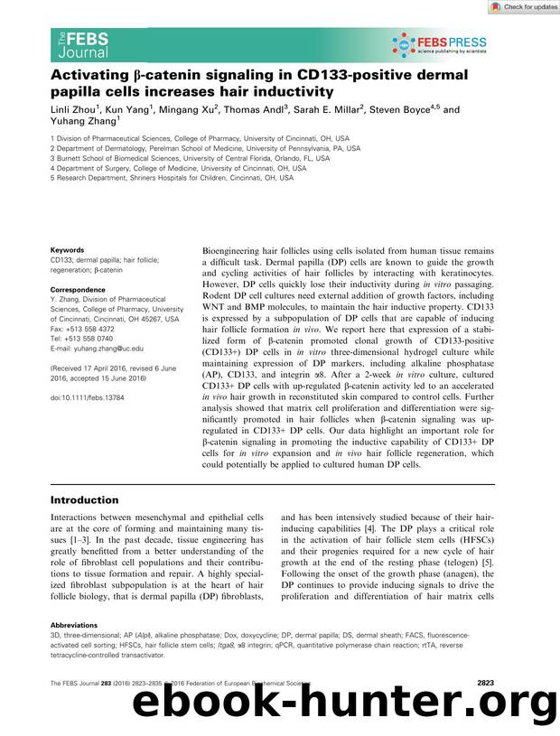 Activating Î²âcatenin signaling in CD133âpositive dermal papilla cells increases hair inductivity by Unknown