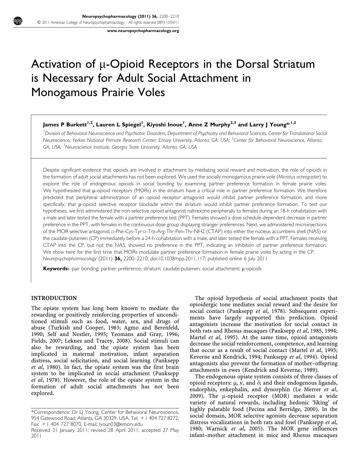 Activation of &mu;-Opioid Receptors in the Dorsal Striatum is Necessary for Adult Social Attachment in Monogamous Prairie Voles by James P Burkett & Lauren L Spiegel & Kiyoshi Inoue & Anne Z Murphy & Larry J Young
