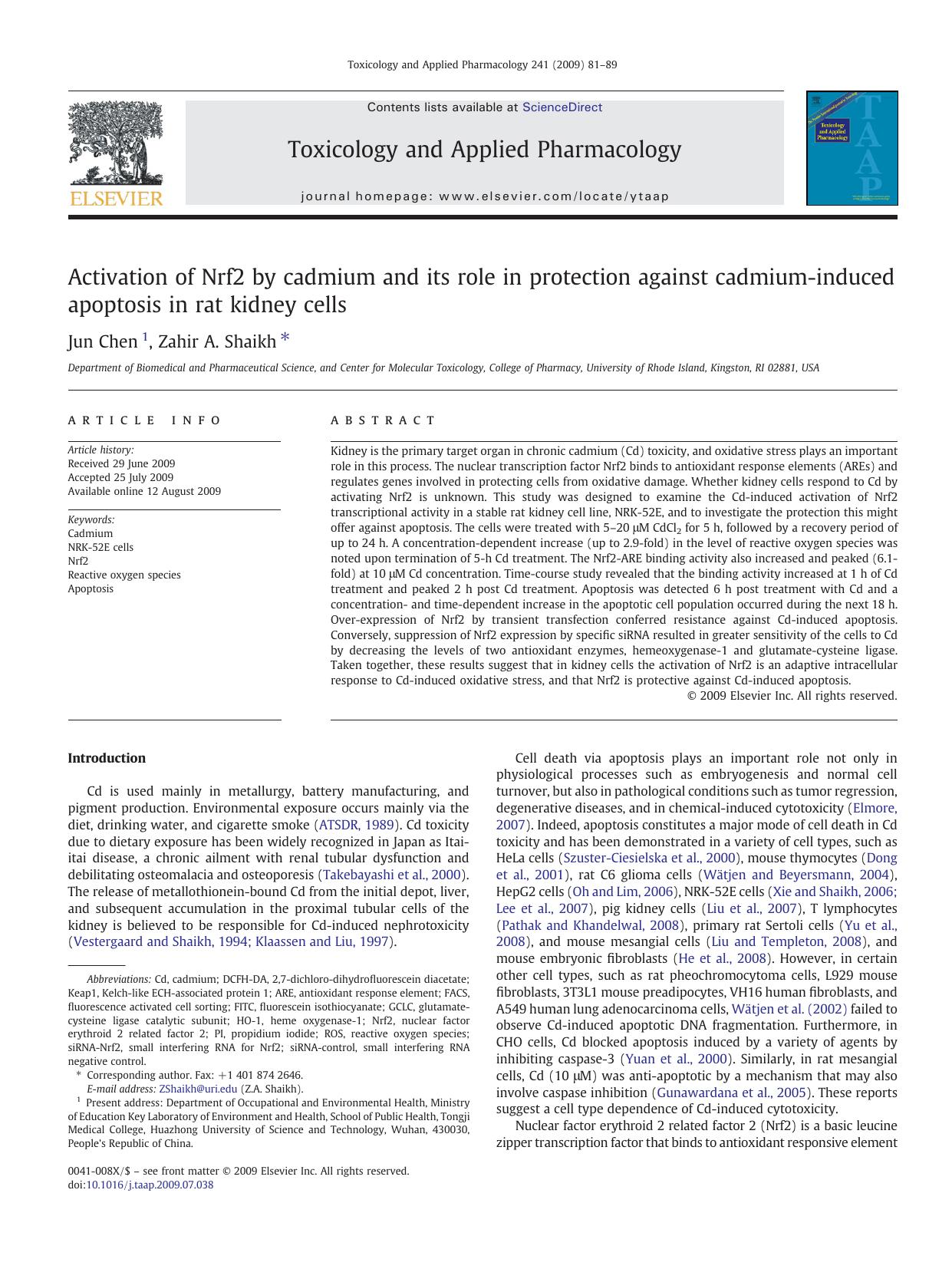 Activation of Nrf2 by cadmium and its role in protection against cadmium-induced apoptosis in rat kidney cells by Jun Chen; Zahir A. Shaikh