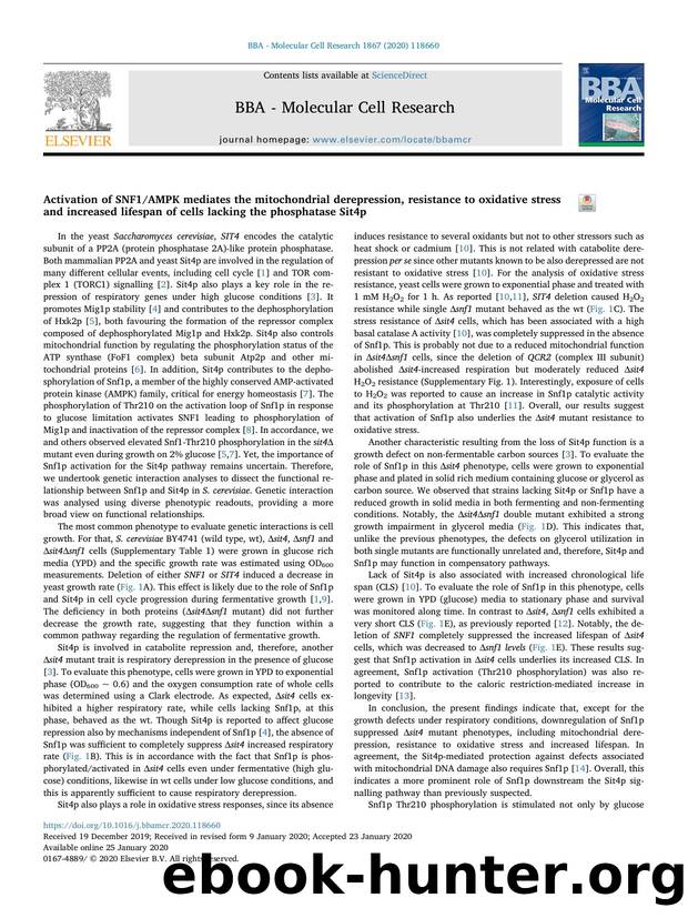 Activation of SNF1AMPK mediates the mitochondrial derepression, resistance to oxidative stress and increased lifespan of cells lacking the phosphatase Sit4p by Clara Pereira & Andreia T. Pereira & Vítor Costa