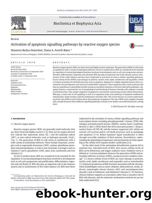 Activation of apoptosis signalling pathways by reactive oxygen species by Maureen Redza-Dutordoir & Diana A. Averill-Bates
