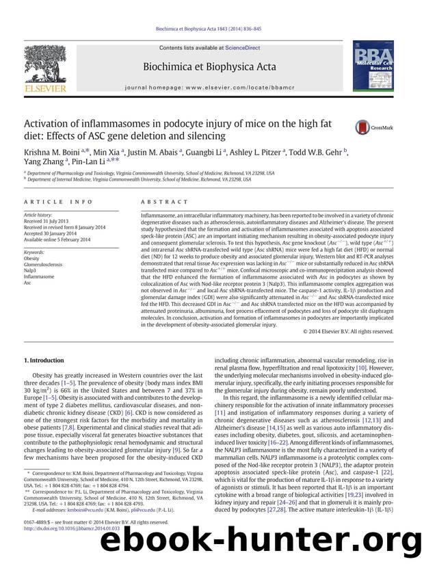 Activation of inflammasomes in podocyte injury of mice on the high fat diet: Effects of ASC gene deletion and silencing by unknow