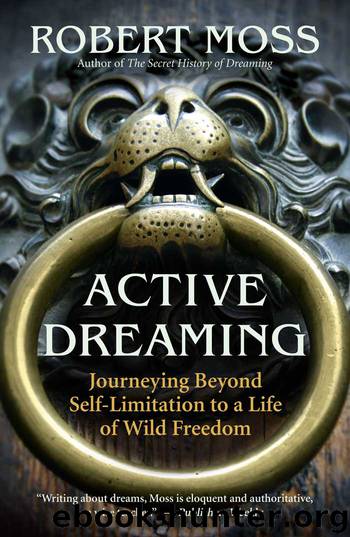 Active Dreaming by Robert Moss