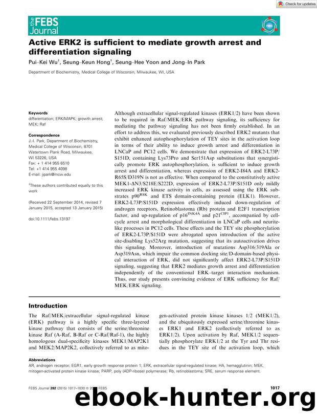 Active ERK2 is sufficient to mediate growth arrest and differentiation signaling by Unknown