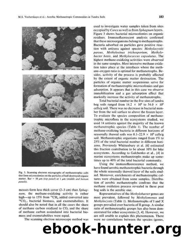 Activity and species composition of aerobic methanotrophic communities in tundra soils by Unknown