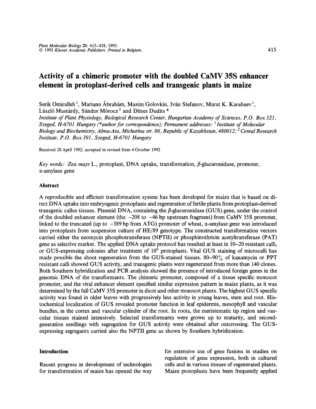 Activity of a chimeric promoter with the doubled CaMV 35S enhancer element in protoplast-derived cells and transgenic plants in maize by Unknown