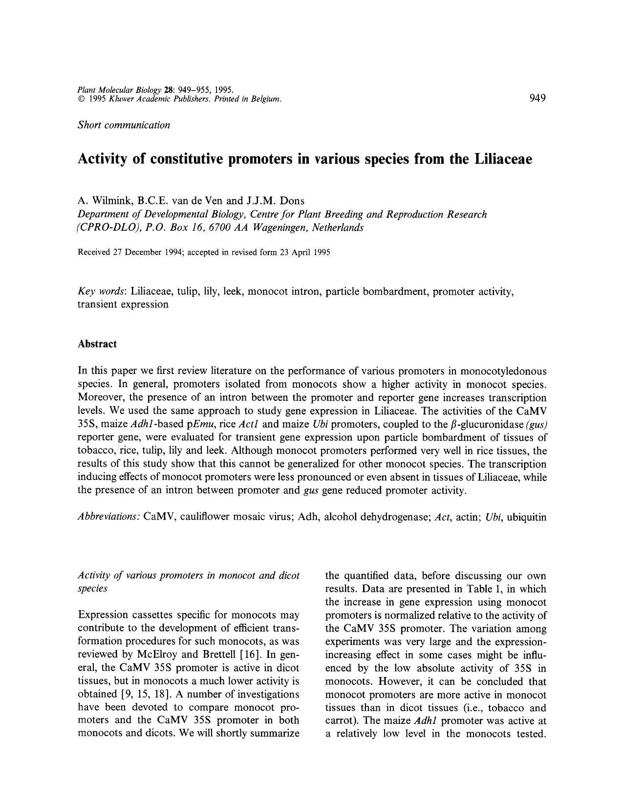 Activity of constitutive promoters in various species from the Liliaceae by Unknown