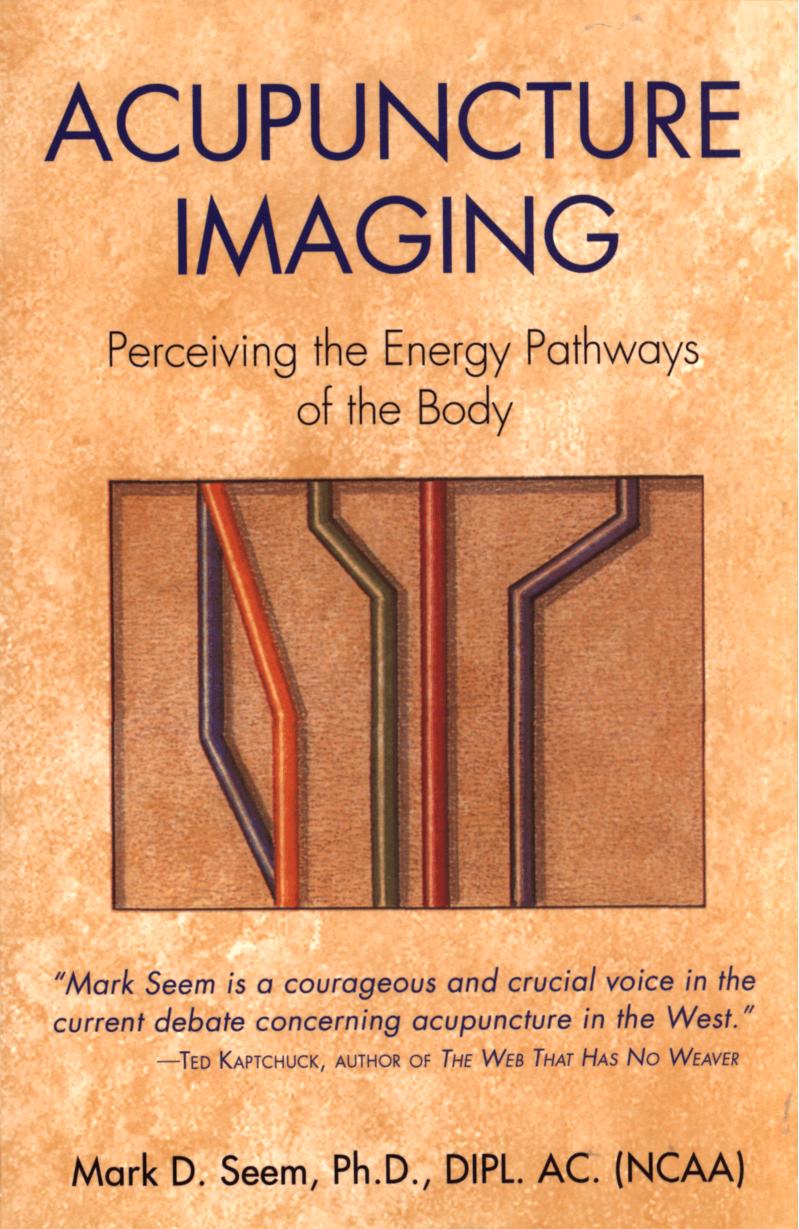 Acupuncture Imaging - Perceiving the Energy Pathways of the Body by Mark Seem