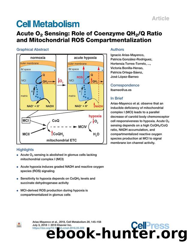 Acute O2 Sensing: Role of Coenzyme QH2Q Ratio and Mitochondrial ROS Compartmentalization by unknow