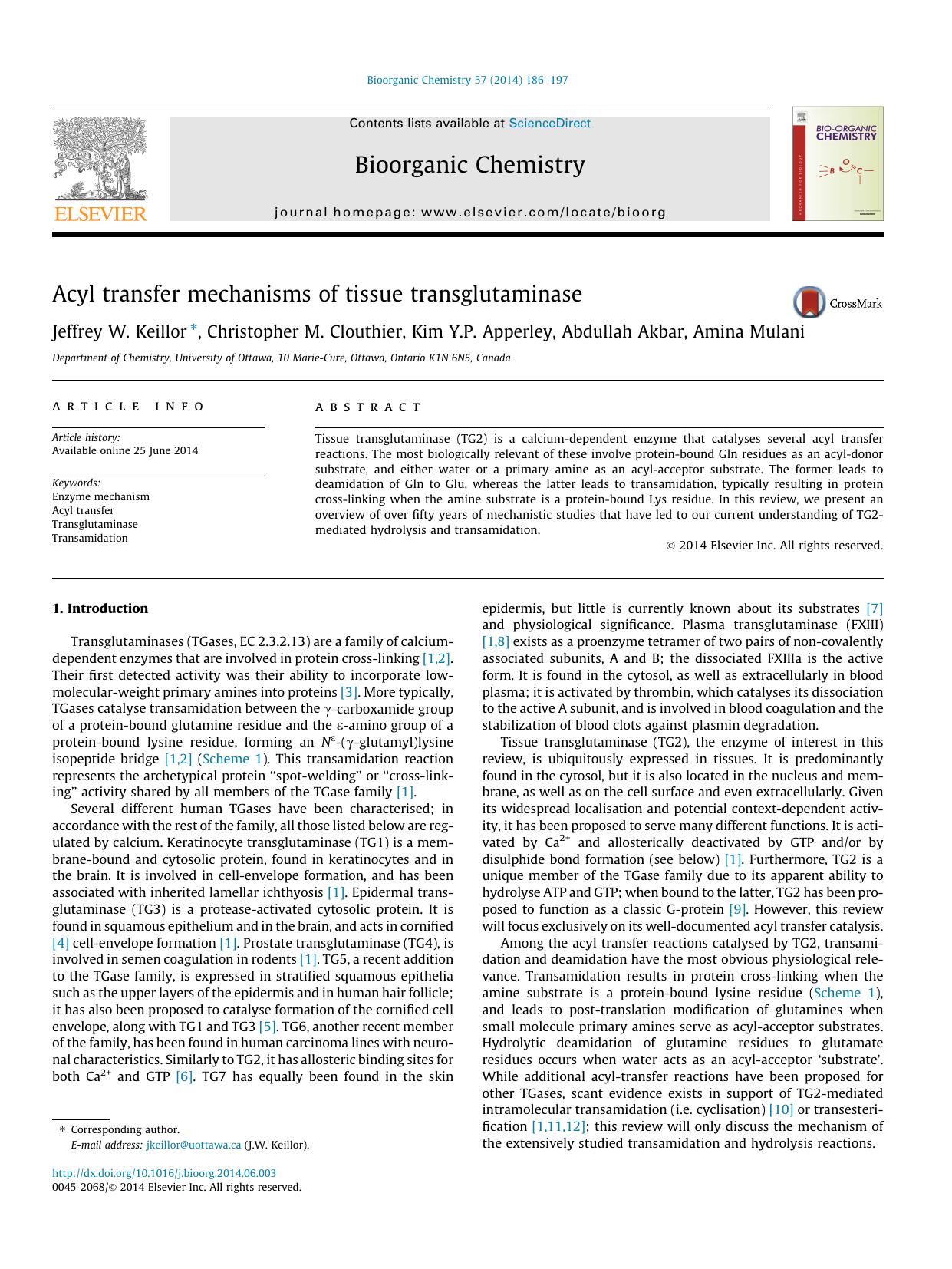 Acyl transfer mechanisms of tissue transglutaminase by Jeffrey W. Keillor & Christopher M. Clouthier & Kim Y.P. Apperley & Abdullah Akbar & Amina Mulani