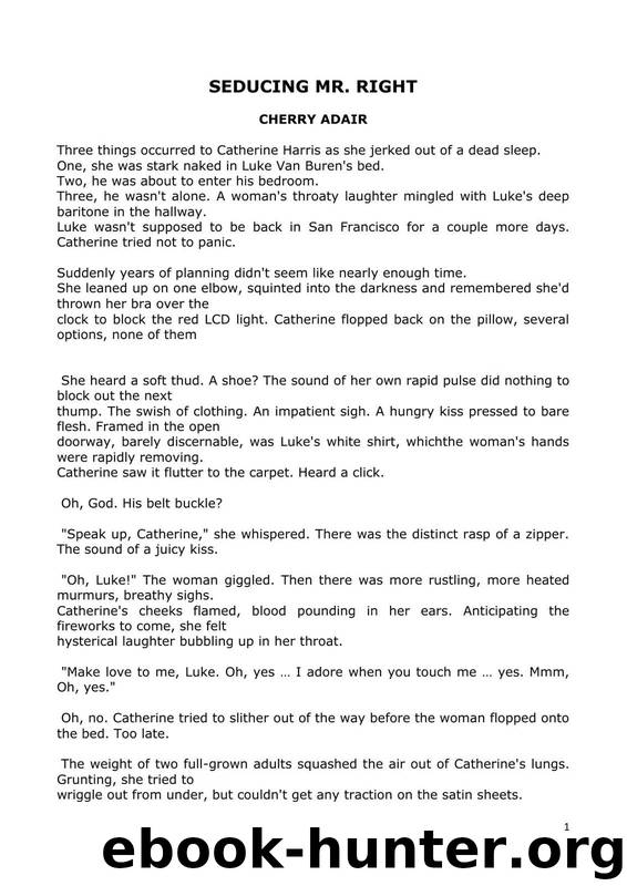 Adair, Cherry -- Seducing Mr Right by Cherry Adair