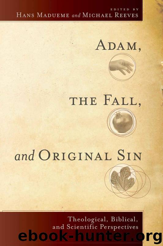 Adam, the Fall, and Original Sin by Hans & Michael Reeves Madueme