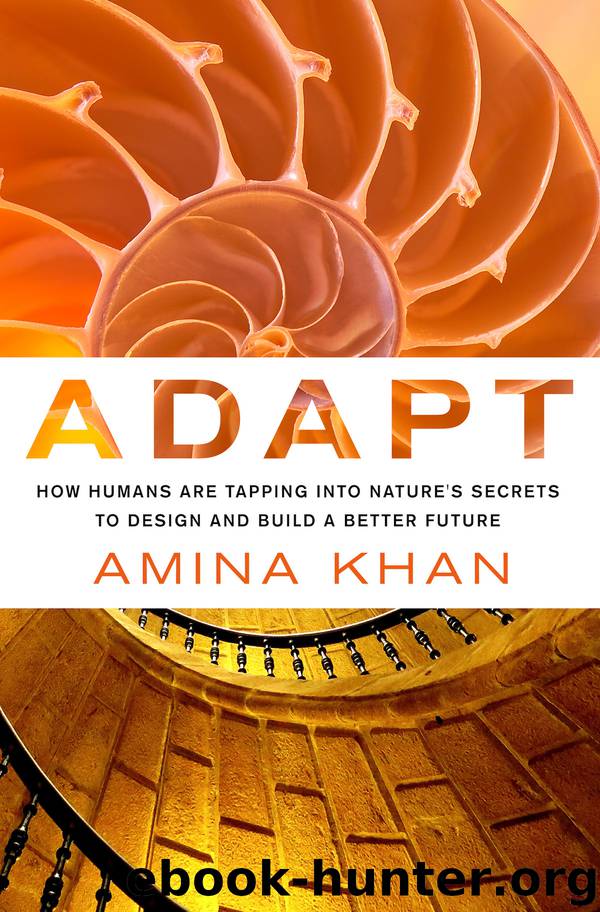 Adapt by Amina Khan