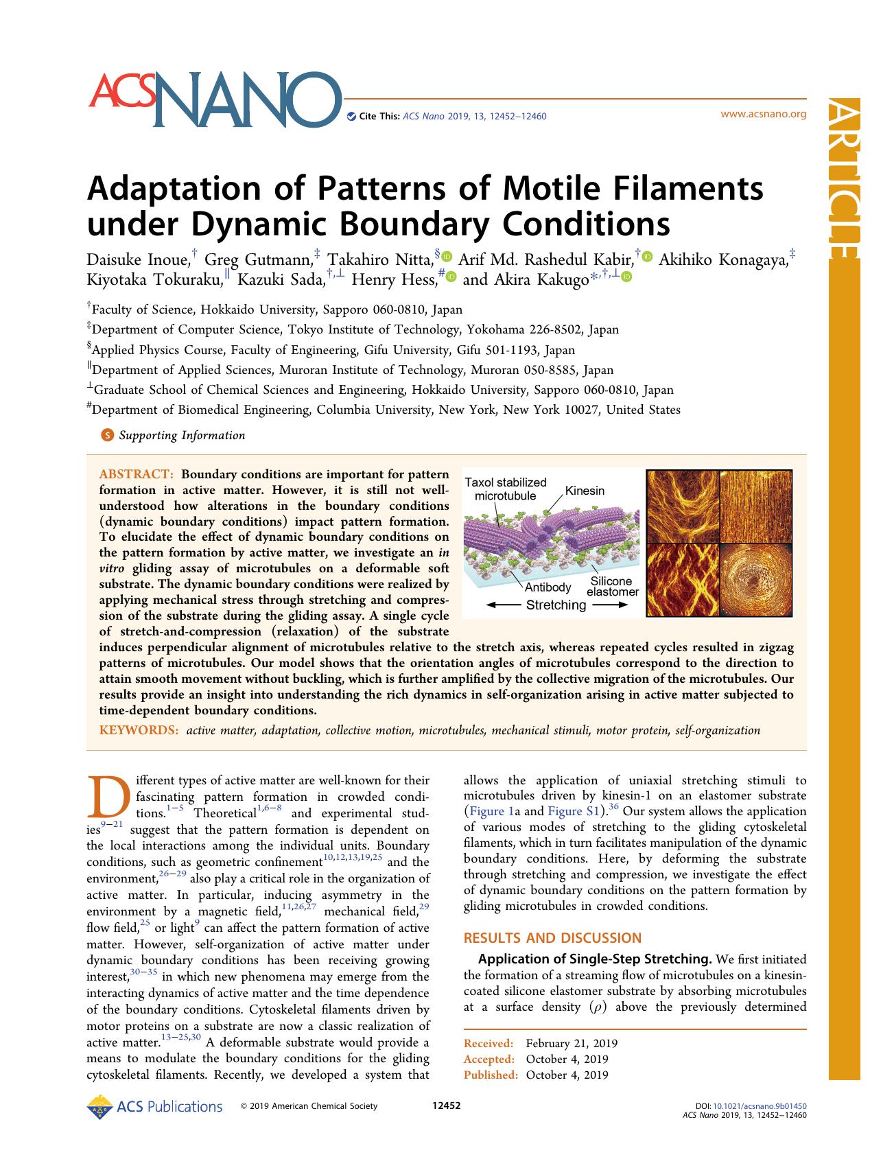 Adaptation of Patterns of Motile Filaments under Dynamic Boundary Conditions by unknow