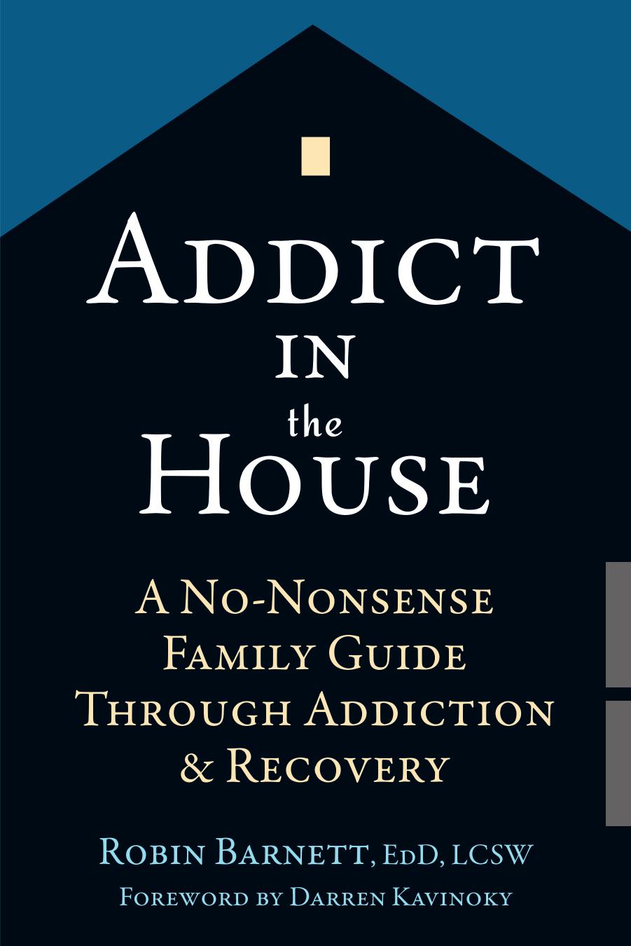 Addict in the House by Robin Barnett