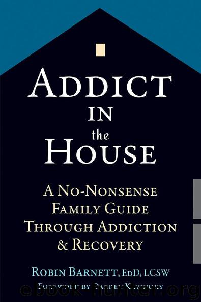 Addict in the House: A No-Nonsense Family Guide Through Addiction and Recovery by Robin Barnett