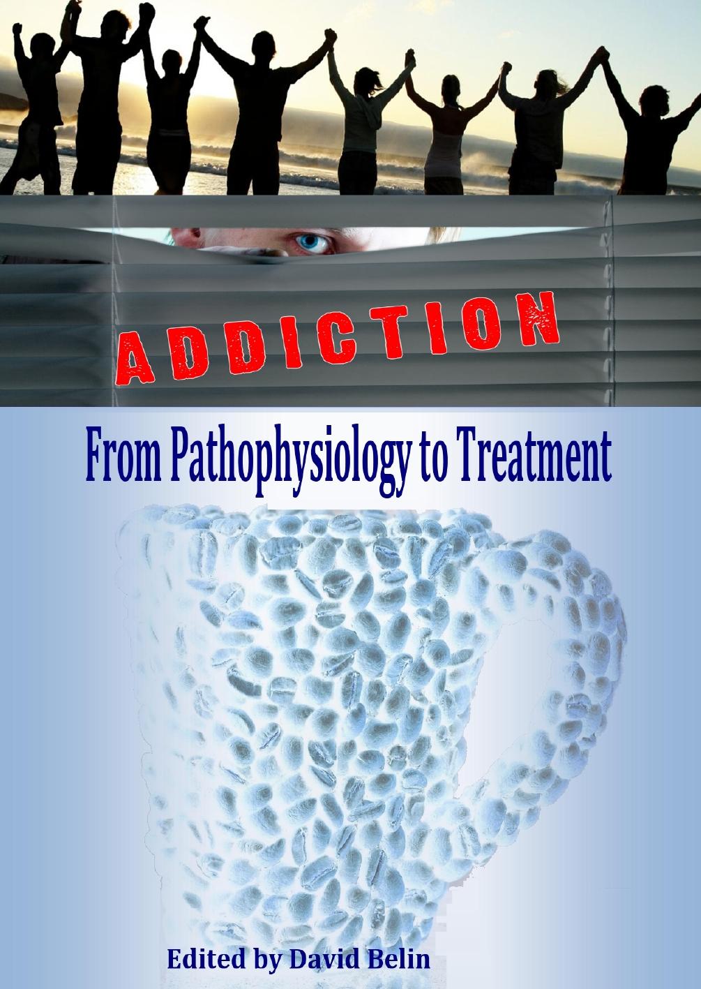 Addictions: From Pathophysiology to Treatment by David Belin (editor)