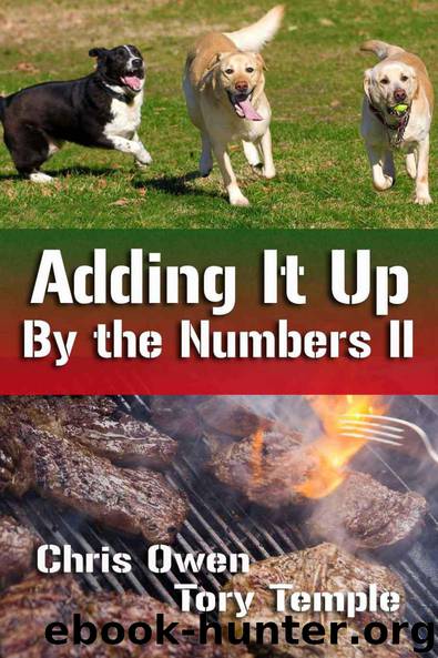 Adding It Up: By the Numbers II by Chris Owen & Tory Temple