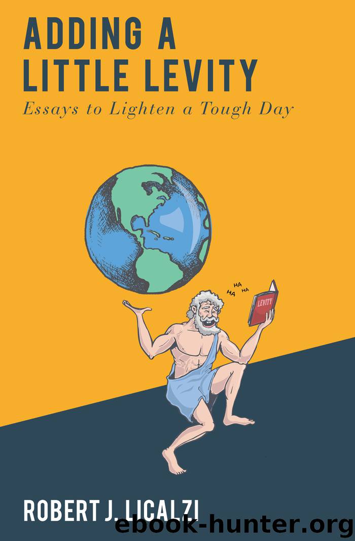 Adding a Little Levity by Robert J. Licalzi