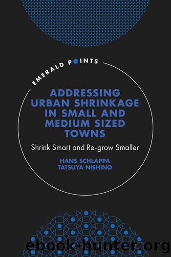 Addressing Urban Shrinkage in Small and Medium Sized Towns: Shrink Smart and Re-Grow Smaller by Hans Schlappa & Tatsuya Nishino