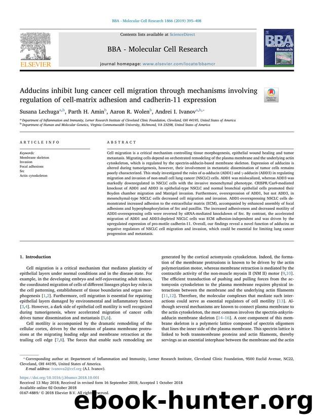 Adducins inhibit lung cancer cell migration through mechanisms involving regulation of cell-matrix adhesion and cadherin-11 expression by Susana Lechuga & Parth H. Amin & Aaron R. Wolen & Andrei I. Ivanov