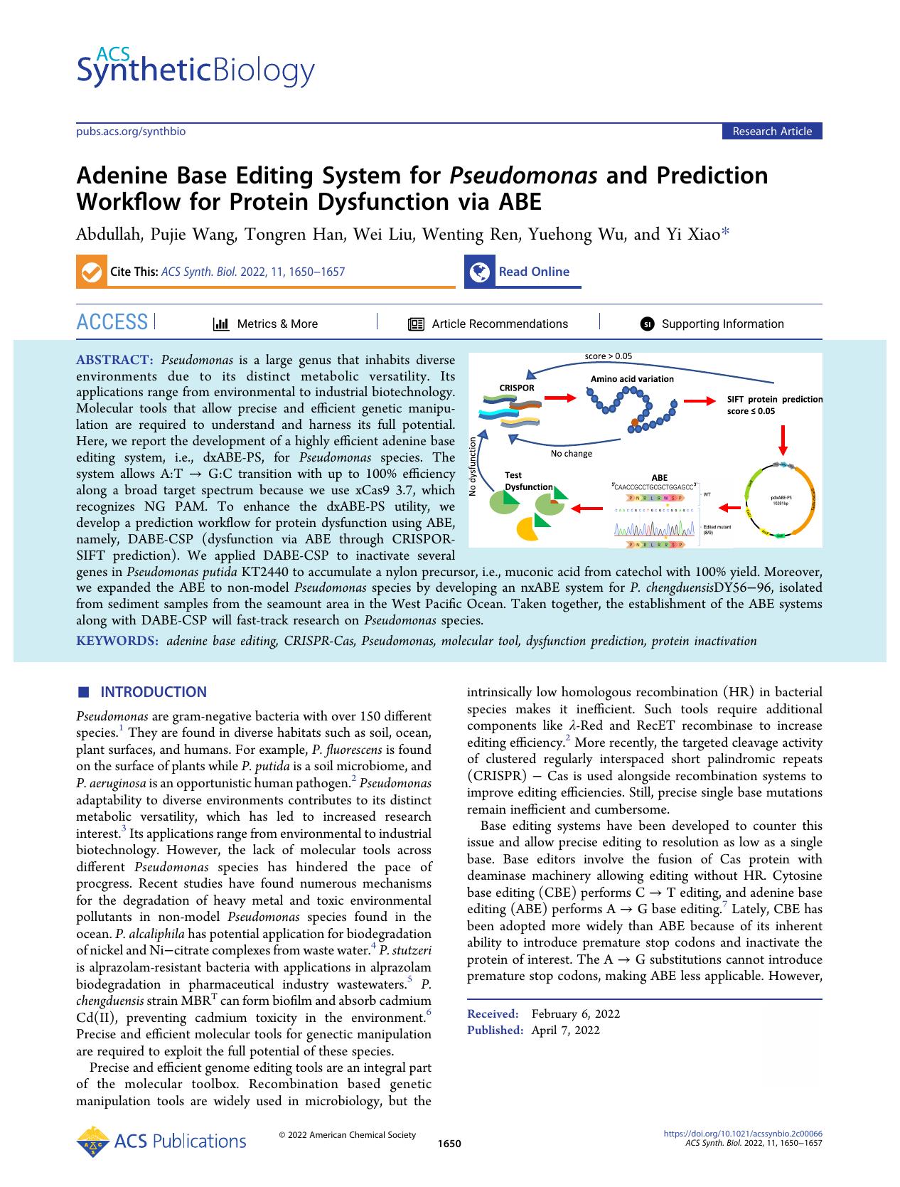 Adenine Base Editing System for Pseudomonas and Prediction Workflow for Protein Dysfunction via ABE by Abdullah Pujie Wang Tongren Han Wei Liu Wenting Ren Yuehong Wu and Yi Xiao
