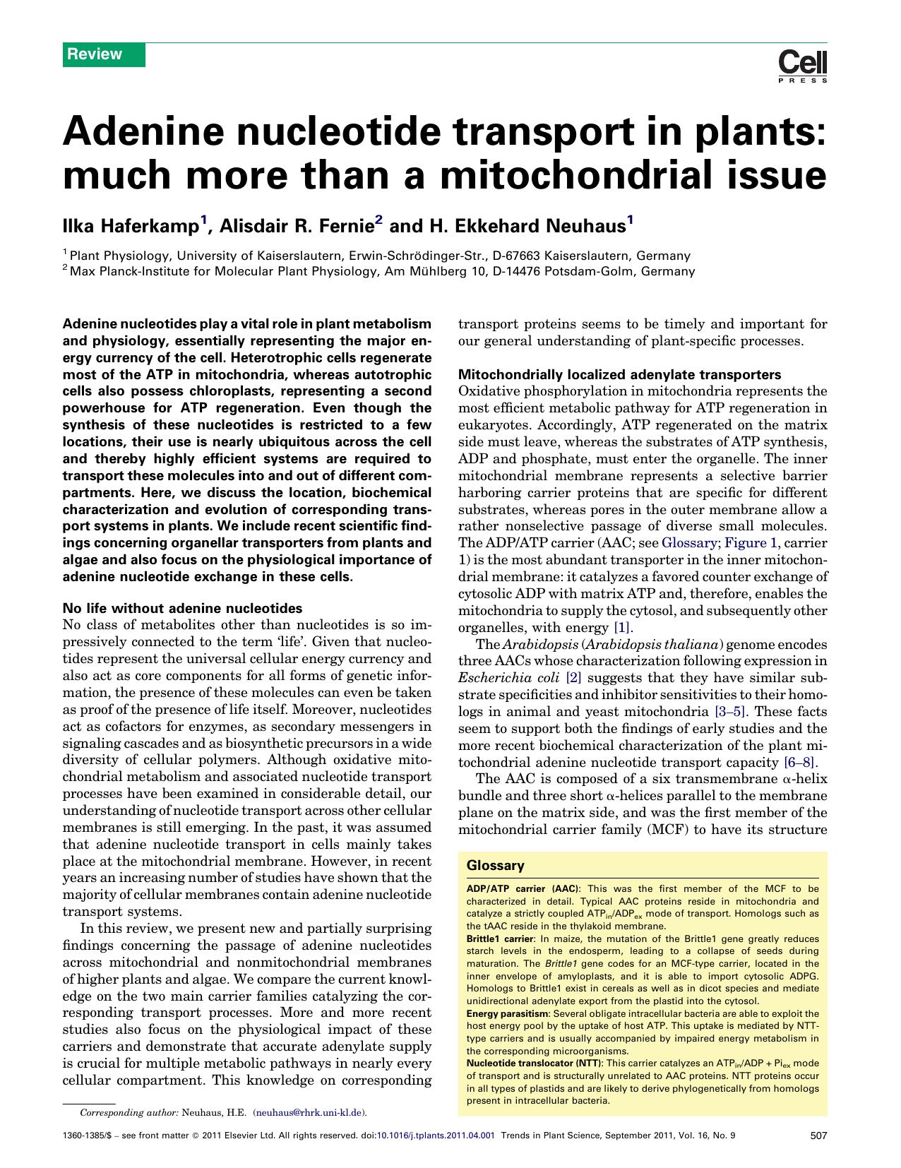 Adenine nucleotide transport in plants: much more than a mitochondrial issue by Ilka Haferkamp