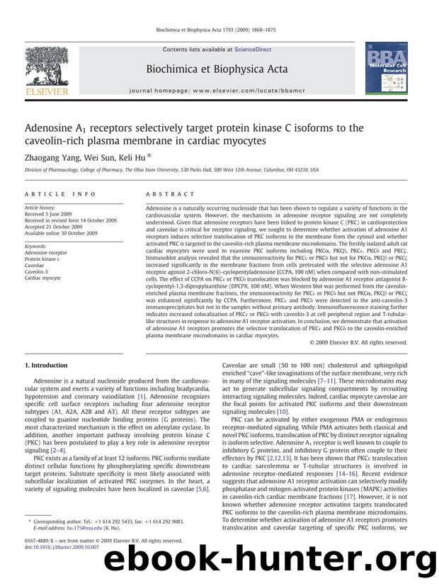 Adenosine A1 receptors selectively target protein kinase C isoforms to the caveolin-rich plasma membrane in cardiac myocytes by Zhaogang Yang; Wei Sun; Keli Hu