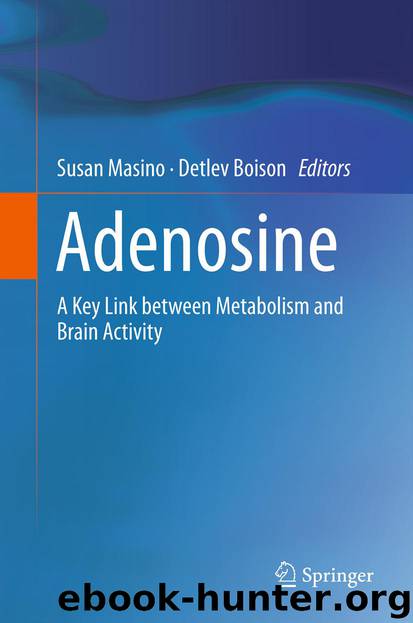 Adenosine by Susan Masino & Detlev Boison