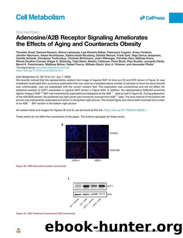 AdenosineA2B Receptor Signaling Ameliorates the&nbsp;Effects of Aging and Counteracts Obesity by unknow