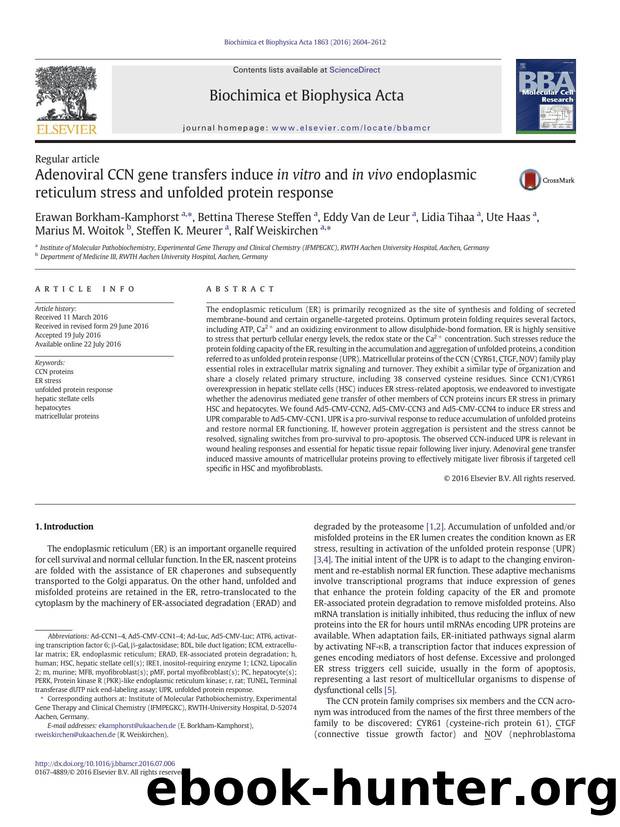 Adenoviral CCN gene transfers induce in vitro and in vivo endoplasmic reticulum stress and unfolded protein response by unknow