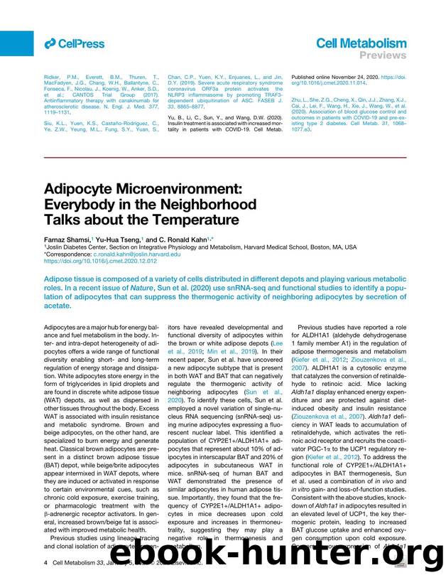Adipocyte Microenvironment: Everybody in the Neighborhood Talks about the Temperature by Farnaz Shamsi & Yu-Hua Tseng & C. Ronald Kahn