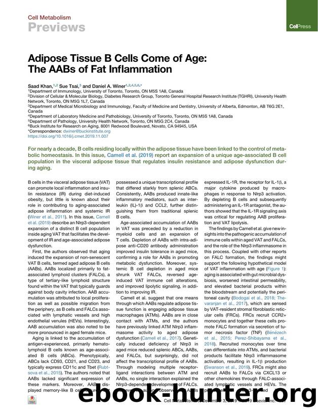 Adipose Tissue B Cells Come of Age: The AABs of Fat Inflammation by Saad Khan & Sue Tsai & Daniel A. Winer