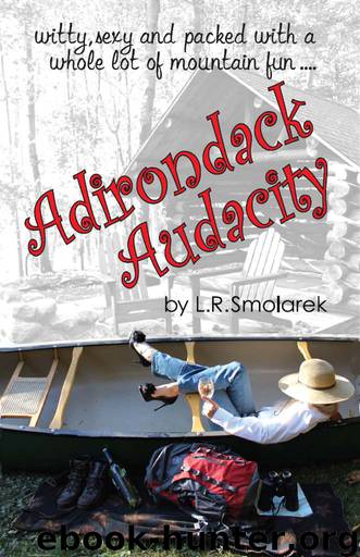 Adirondack Audacity by L.R. Smolarek