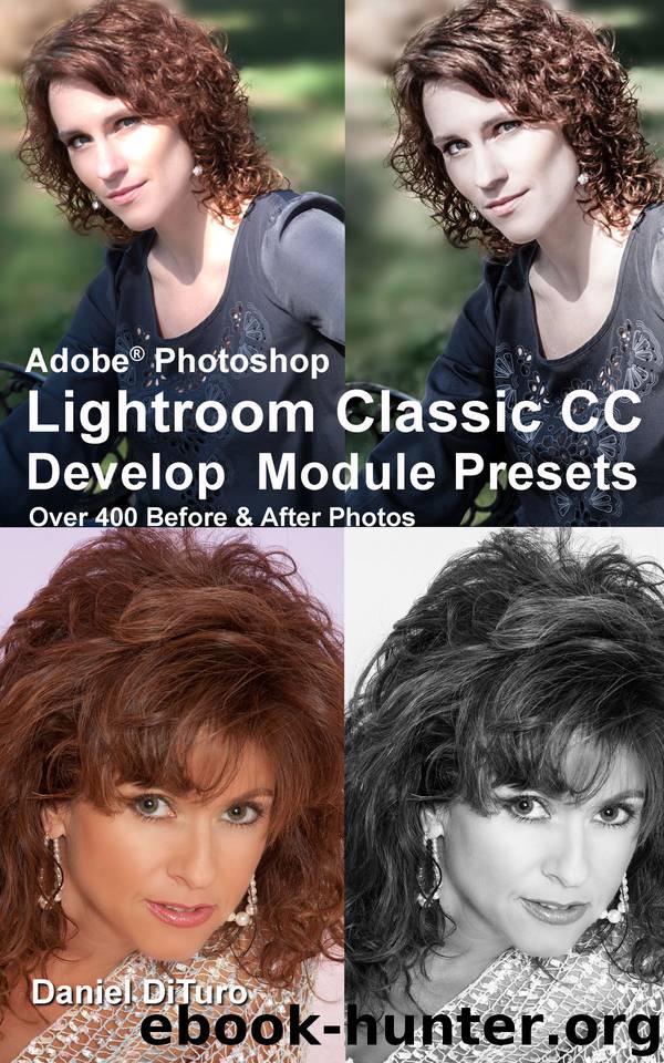 Adobe® Photoshop Lightroom Classic CC Develop Module Presets by Daniel DiTuro