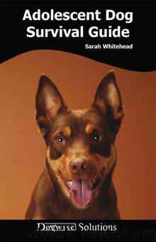 Adolescent Dog Survival Guide by Sarah Whitehead